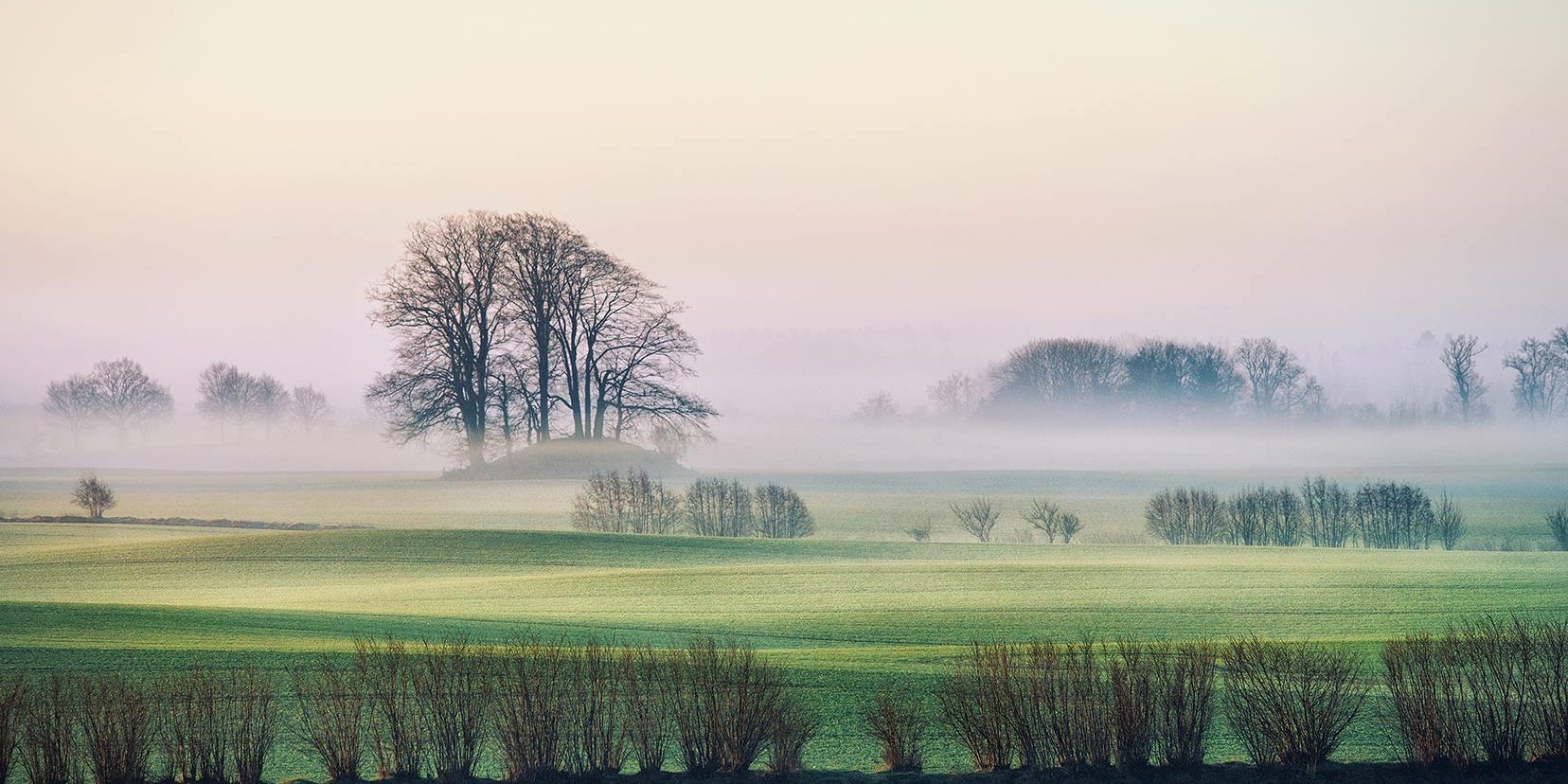 Eine friedliche Landschaft mit Feldern, einigen Büschen und kahlen Bäumen. Leichter Nebel liegt über dem Boden, und der Himmel zeigt sanfte Rosa- und Blautöne in der Dämmerung oder im Morgengrauen.