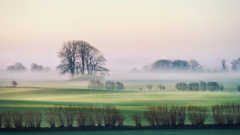 Eine friedliche Landschaft mit Feldern, einigen Büschen und kahlen Bäumen. Leichter Nebel liegt über dem Boden, und der Himmel zeigt sanfte Rosa- und Blautöne in der Dämmerung oder im Morgengrauen.