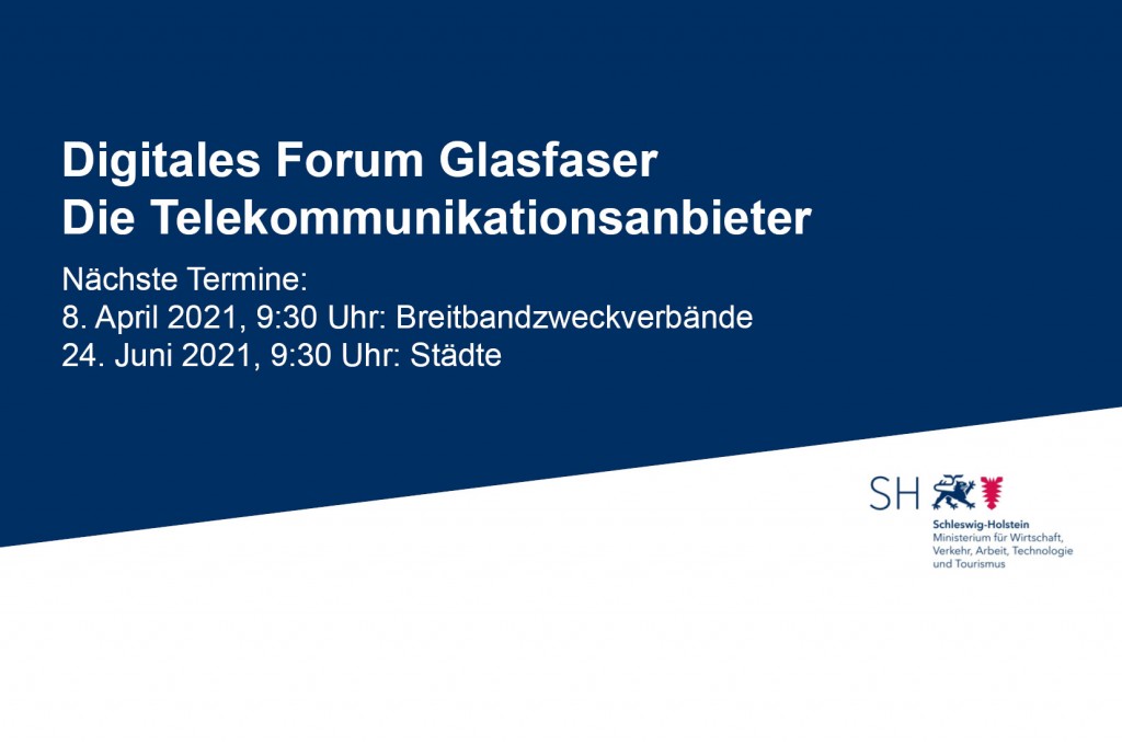 Zusammenfassung - 2. Digitales Forum Glasfaser