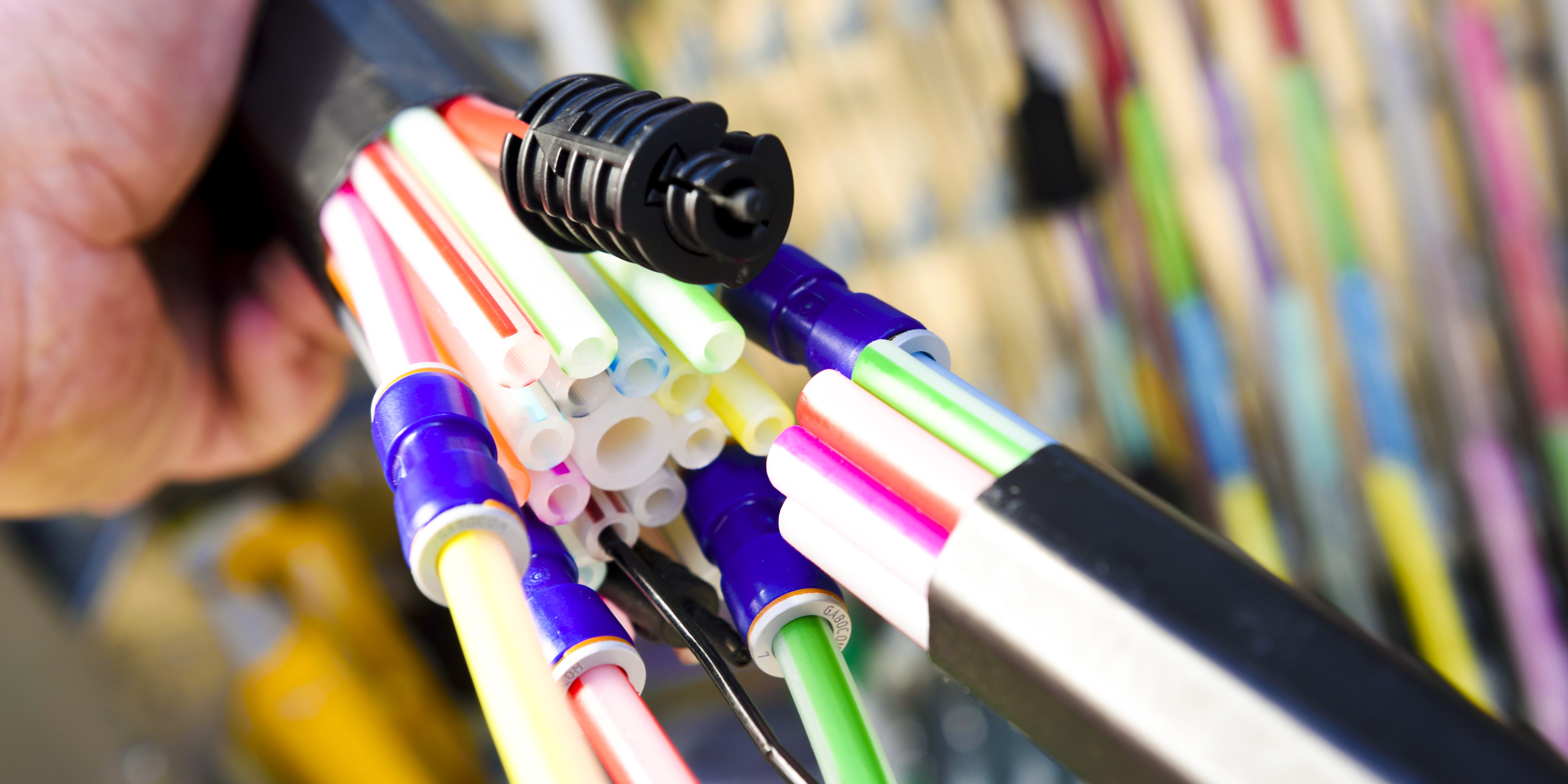 Nahaufnahme von einer Hand, die einen Strang bunter Glasfaserkabel hält. Die Kabel sind in einer Anordnung zusammengebunden und durch Verbindungsstücke miteinander verbunden. Im Hintergrund sind weitere Kabel unscharf zu sehen.