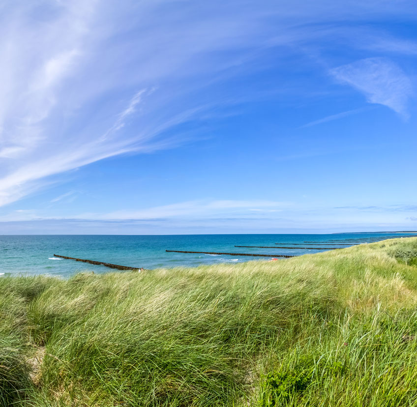 Newsletter Juni 2019