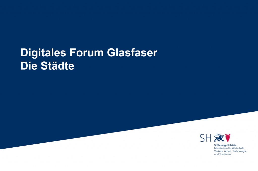 Zusammenfassung - 4. Digitales Forum Glasfaser