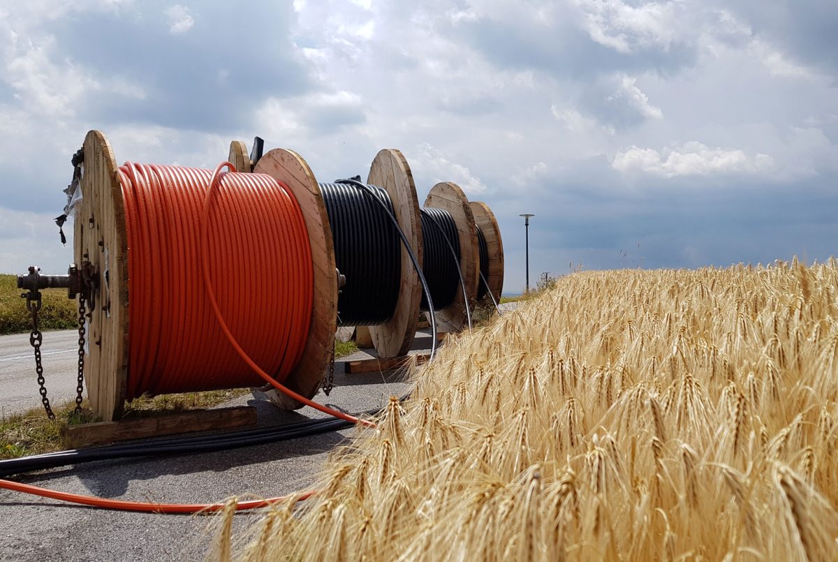 Newsletter März 2019