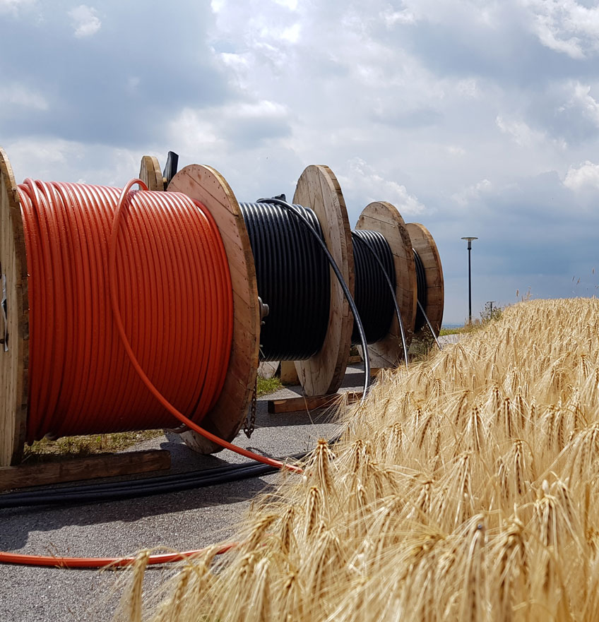 Newsletter August 2020