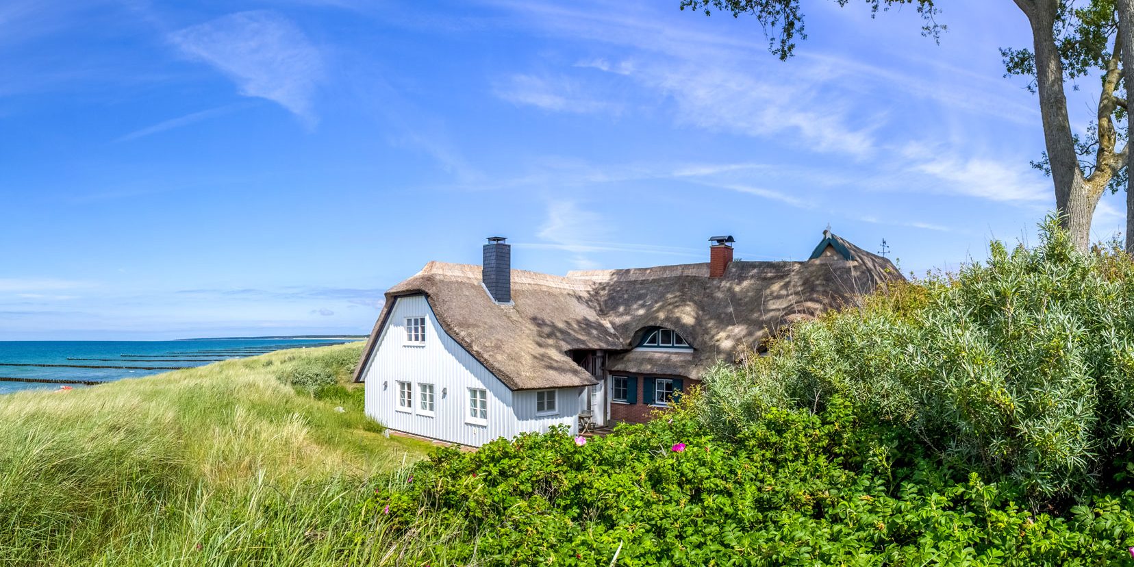 Ein weißes Haus mit Reetdach steht inmitten grüner Dünenlandschaft. Im Hintergrund erstreckt sich das blaue Meer unter einem klaren, wolkigen Himmel. Rechts im Bild steht ein Baum.