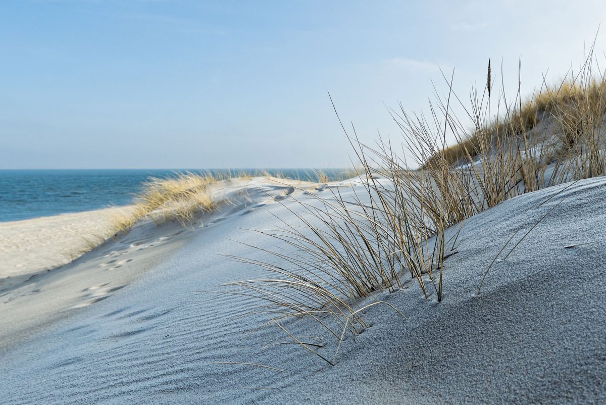Newsletter Mai 2020